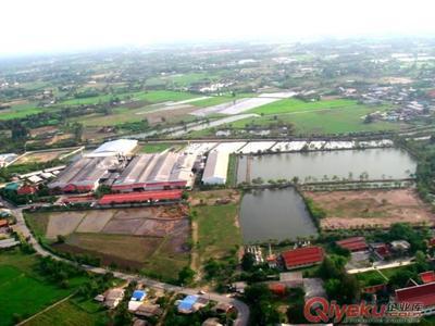 優(yōu)質(zhì)中泰羥丙基(醚化交聯(lián))木薯變性淀粉 -中泰淀粉提供優(yōu)質(zhì)中泰羥丙基(醚化交聯(lián))木薯變性淀粉 的相關(guān)介紹、產(chǎn)品、服務(wù)、圖片、價格中泰淀粉、木薯變性淀粉、